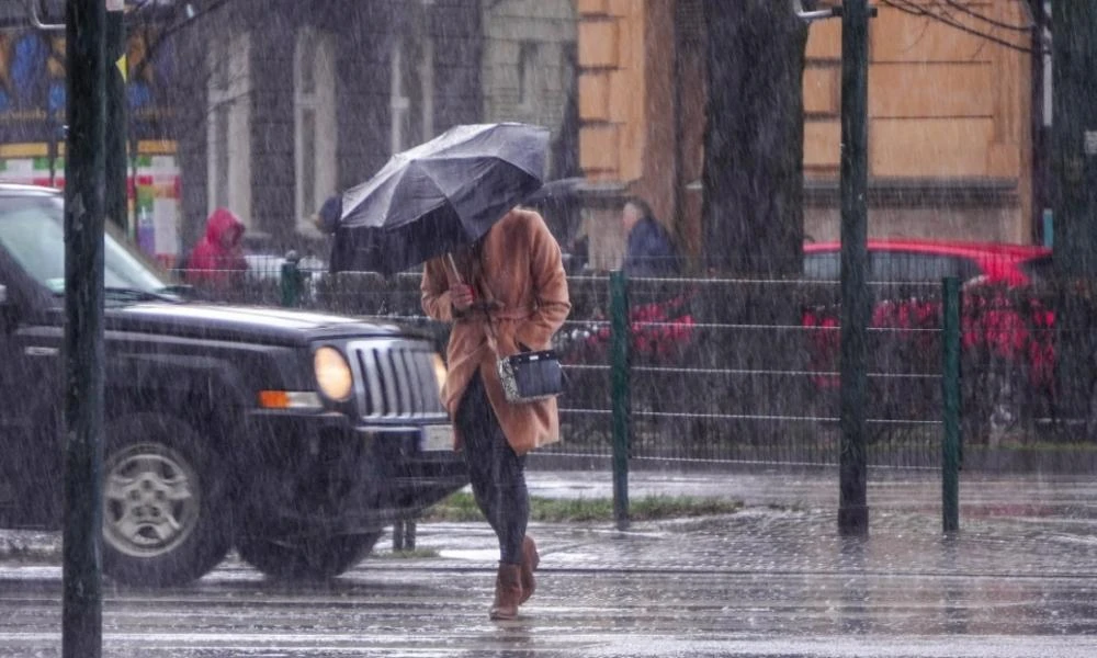 Κεραυνός διέλυσε στην κυριολεξία ένα δέντρο στη Γαλλία (Βίντεο)